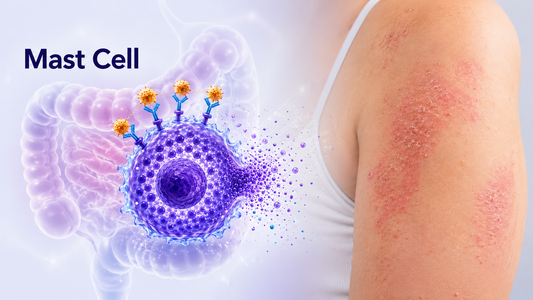 IBS, Eczema, Hayfever and Migraine: Could Mast Cell Activation Be the Missing Link?